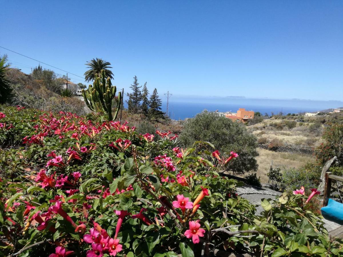 Finca Alda Los Llanos De Aridane Eksteriør billede